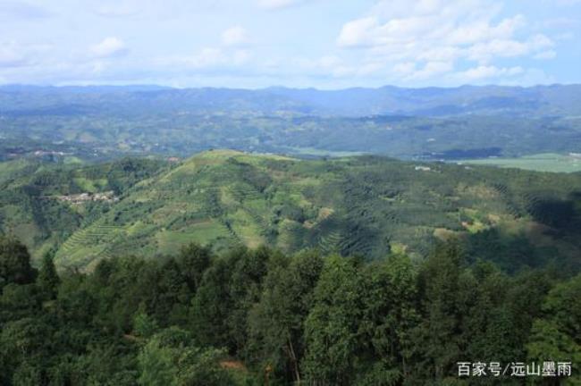 云南产茶的四大名山