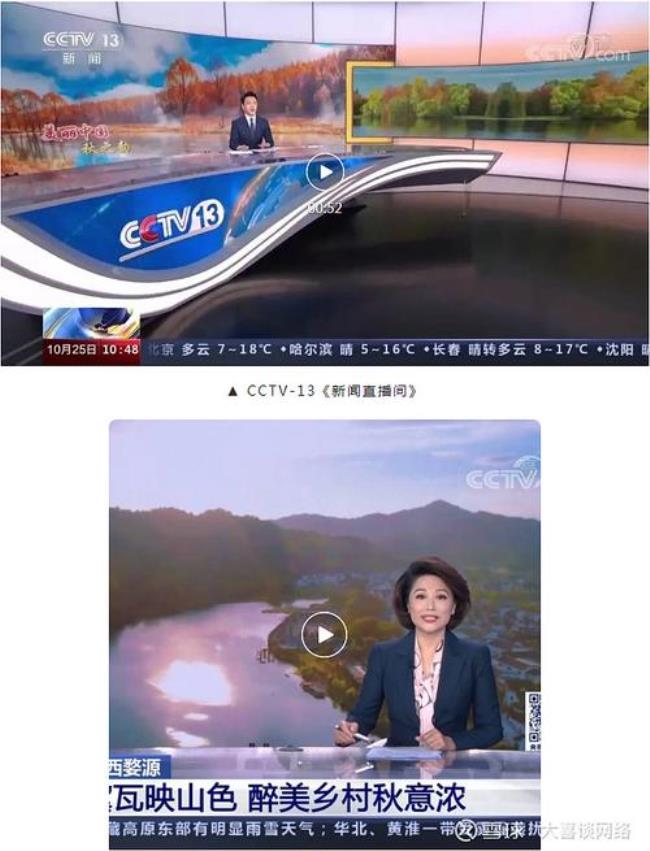 cctv4共同关注嘉宾