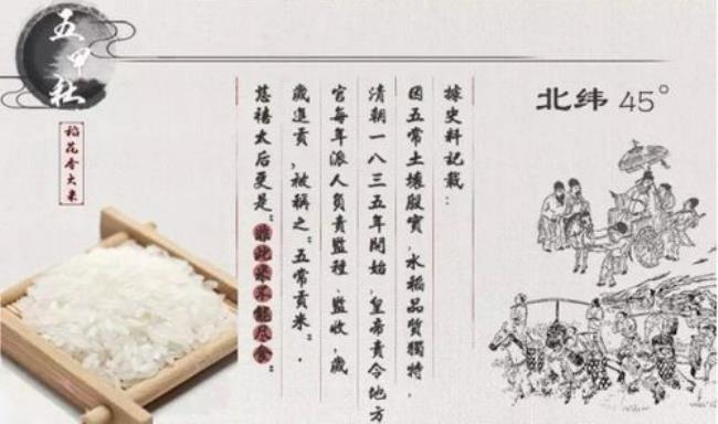 古代五常八纲是指什么