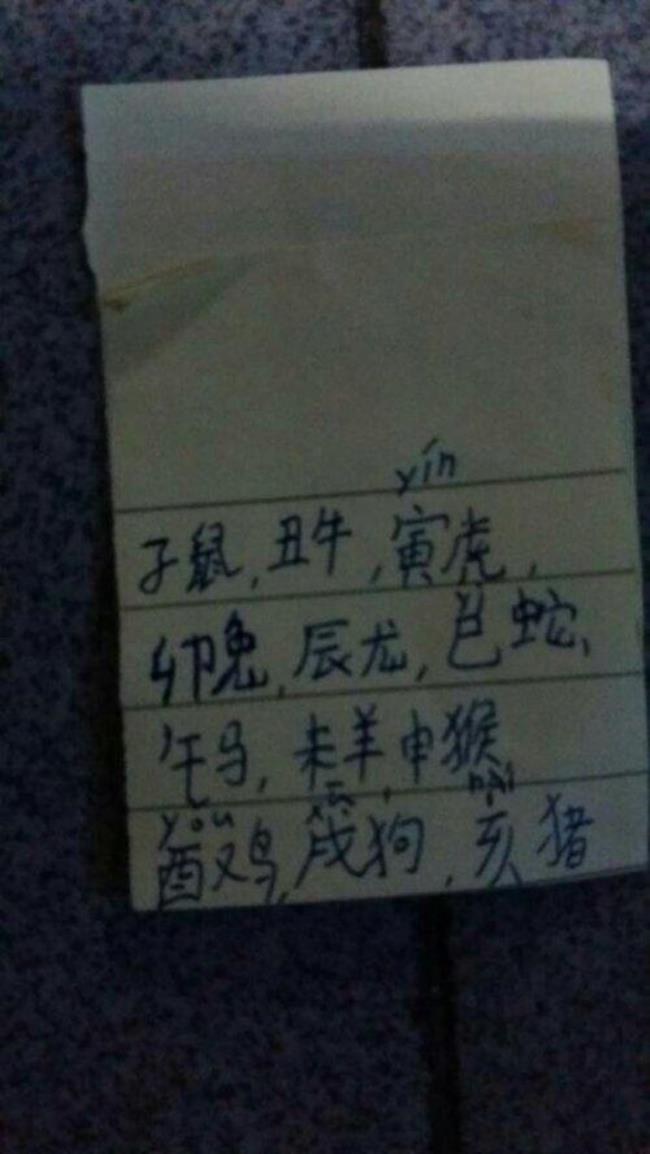 子鼠丑牛寅虎卯兔接下来是什么