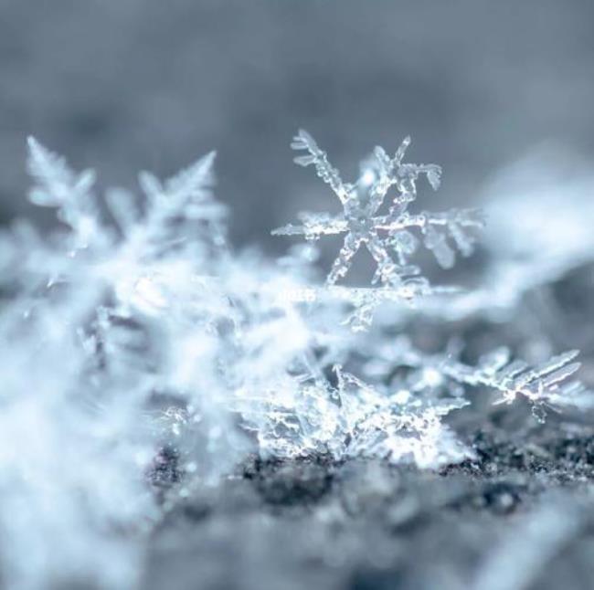 冬天的雪花原唱