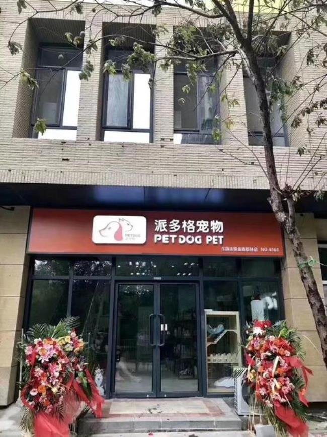 兔子宠物店店名