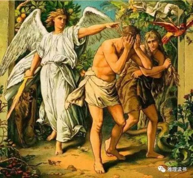 亚当与夏娃动漫叫什么