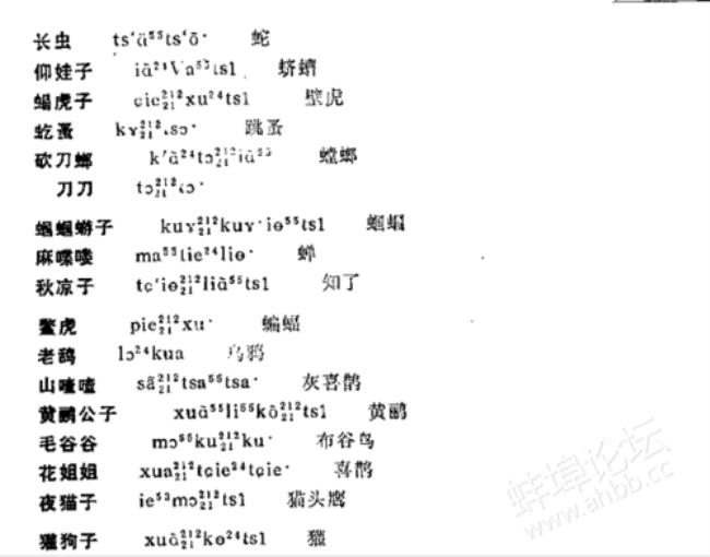 大庆方言大全