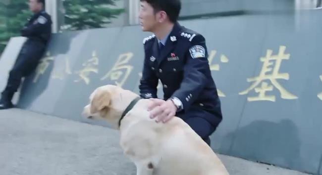 5 警花与警犬的樱桃是怎么死