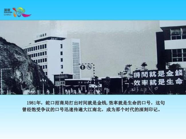 1981年哪些城市设为经济特区