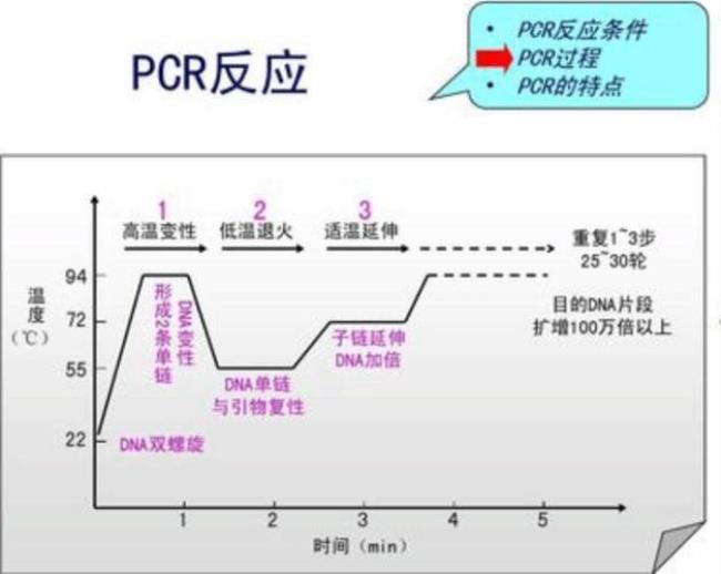 外部条件cy是什么意思