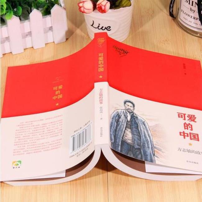 中国文学作品中的红色象征意义
