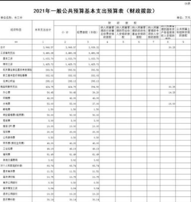 一般公共预算收入包括哪些项目