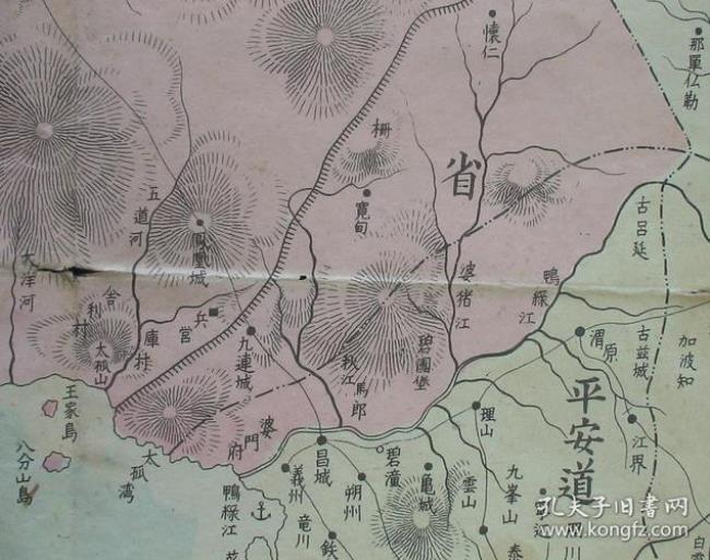 1920年山东被日本占领了吗