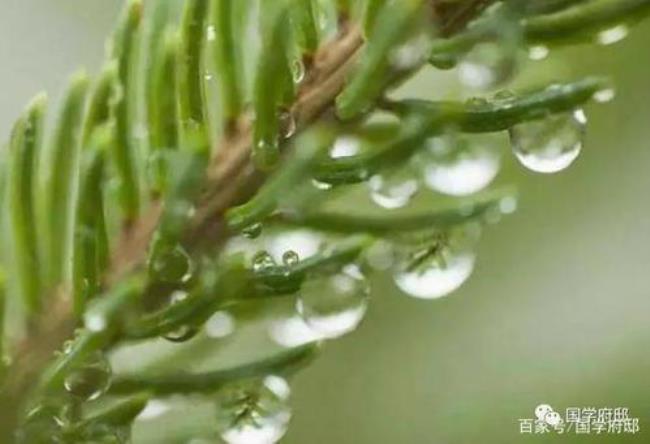 白露最短的古诗