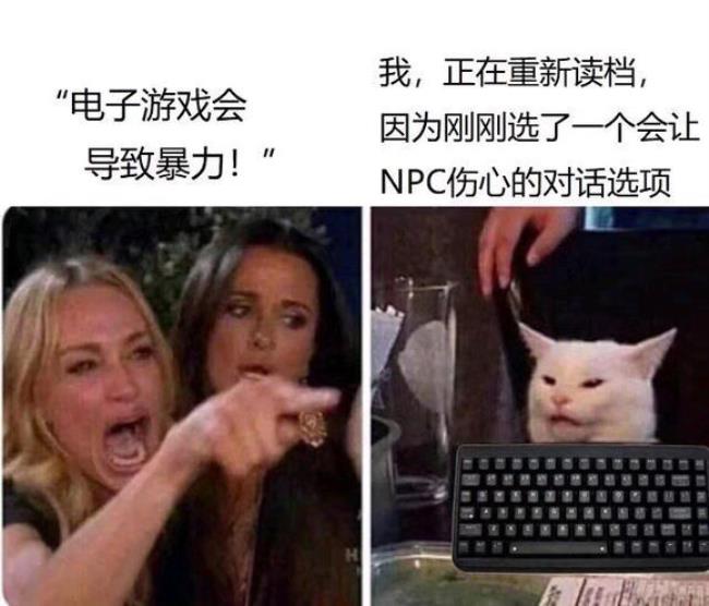 枪花里的cpa指的是什么