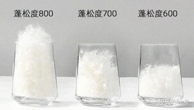 波兰鹅绒和国内鹅绒的差别