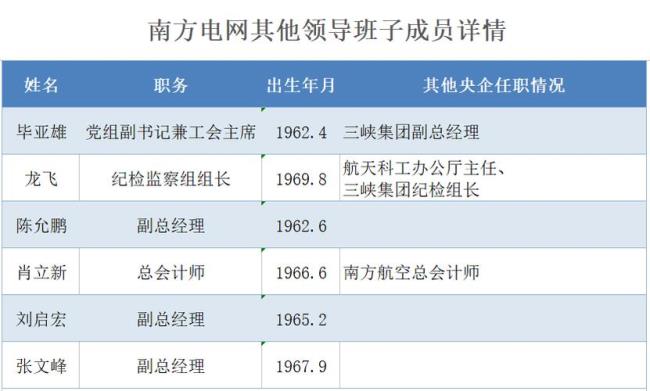 国家电网总经理是什么级别