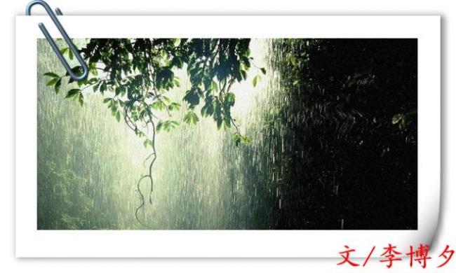 细雨纷纷代表什么生肖