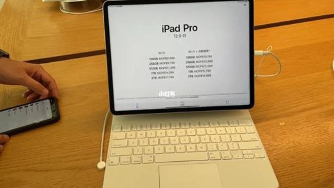 ipadpro尺寸12.9是多少厘米