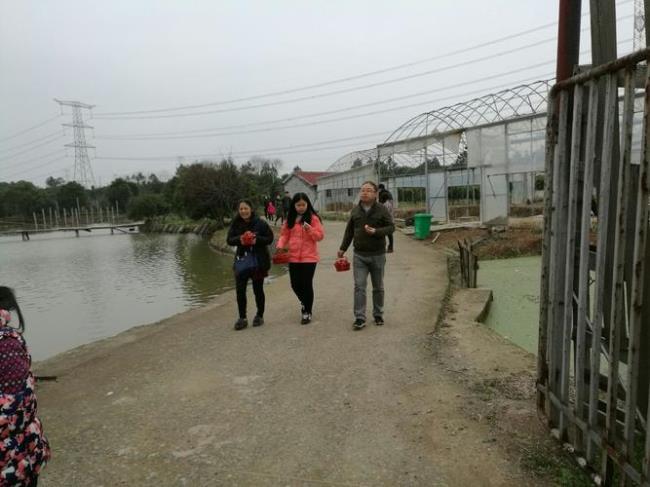 浙江金华小型家庭农场申请条件