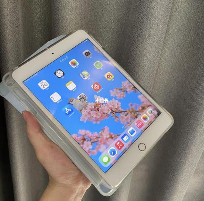 ipad mini5蜂窝版可以连wifi吗