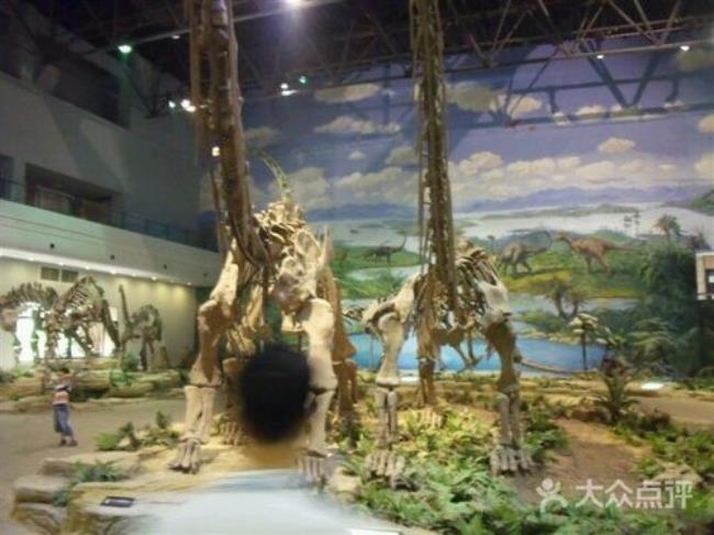 上海四海恐龙博物馆怎么样