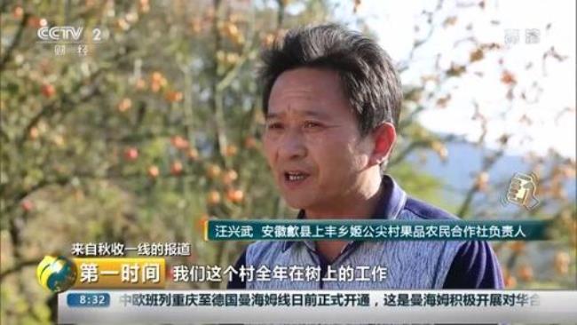 cctv2第一时间主持人男