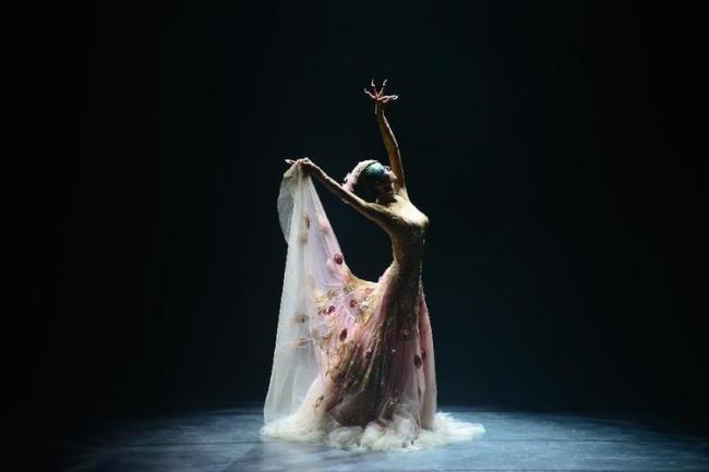 舞蹈艺术家杨丽萍的代表作是