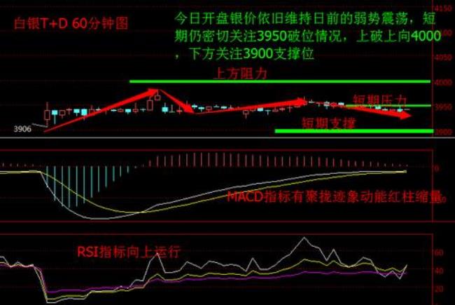 白银t+d软件是什么