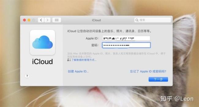 输入你的appleid是什么