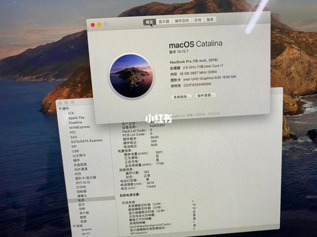 macbookpro标签使用方法