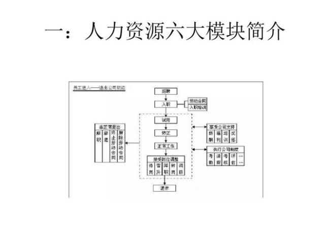 人力资源六大板块由谁提出