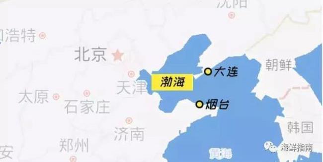 渤海是中国的内海还是公海