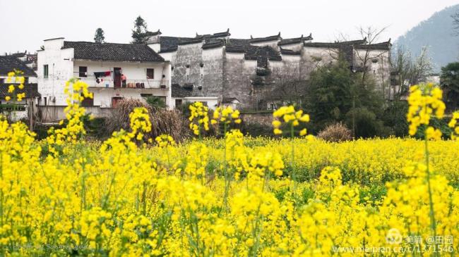 1920年春哪个国家的人来了中国