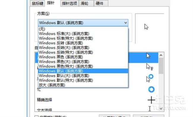 不显示鼠标指针怎么回事