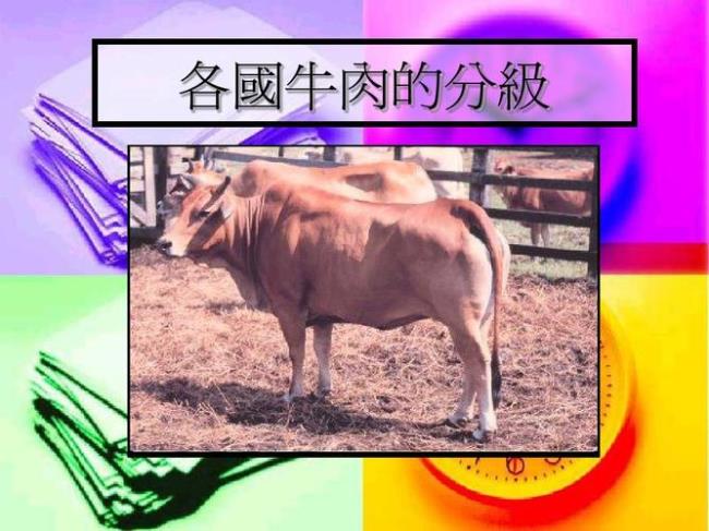 牛肉分级标准m12