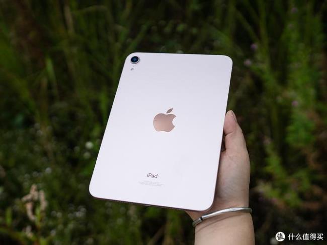 ipadmini5wlan和cellar有什么区别