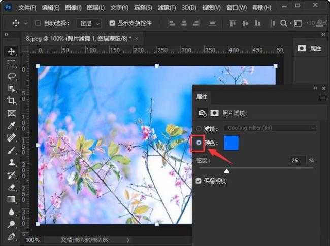 Photoshop滤镜的原理与使用方法