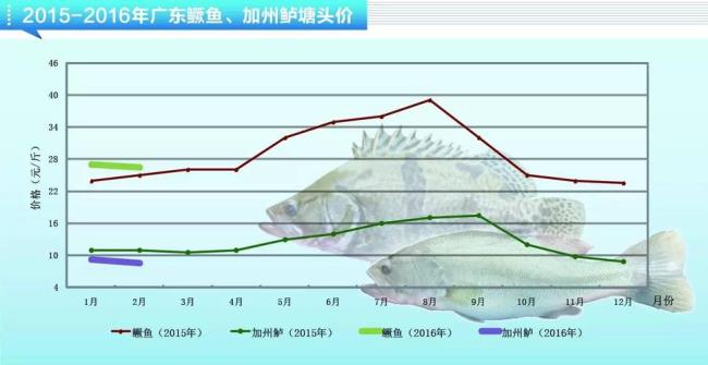 加州大还是广东大