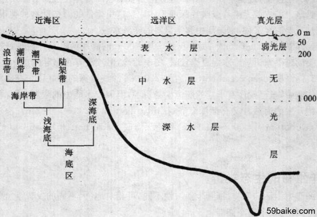 大陆把海洋分为哪五大部分