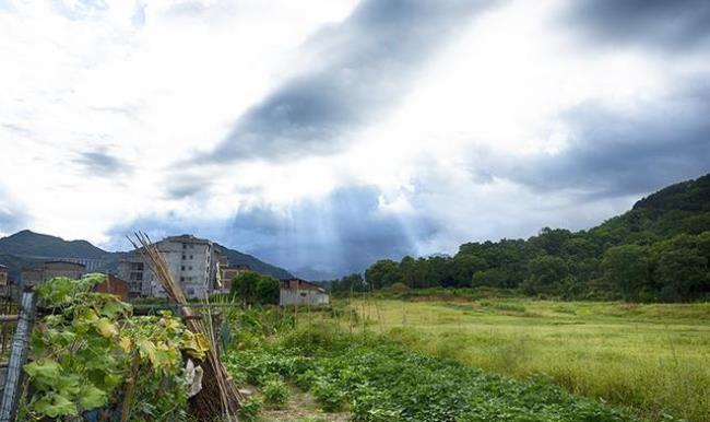 为什么农村的风景比城市的好