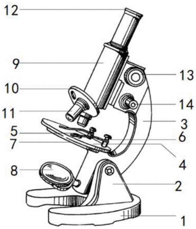 几种常见显微镜的基本用途