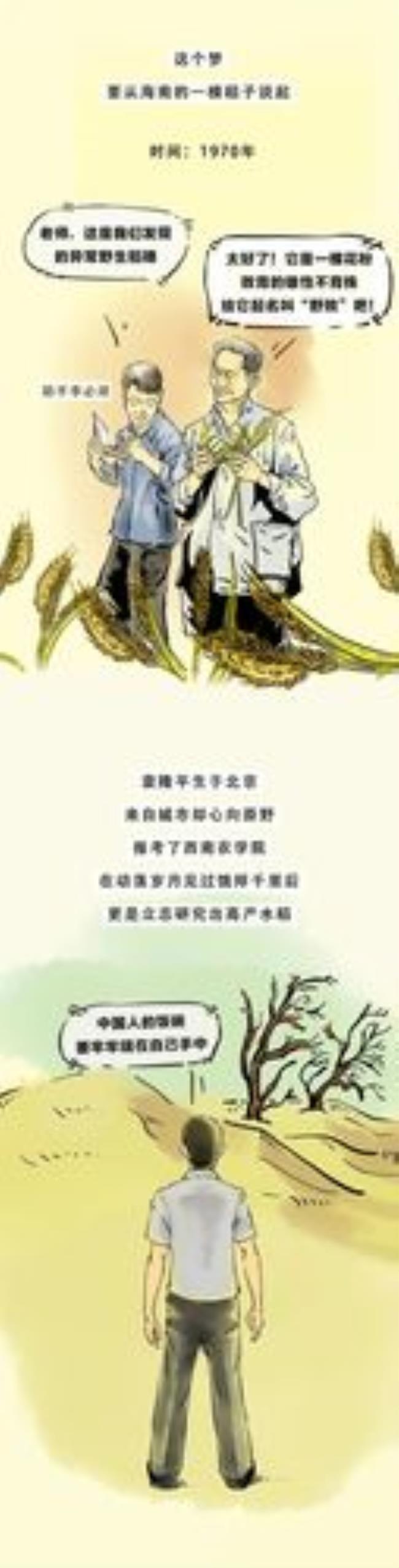 东方魔稻的本义