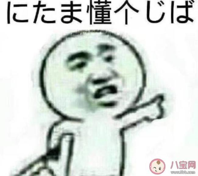 关于对日本人评价的短语