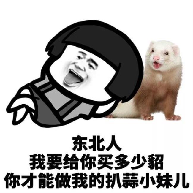 东北人可以娶云南人吗