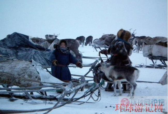 北极什么人是常住人口