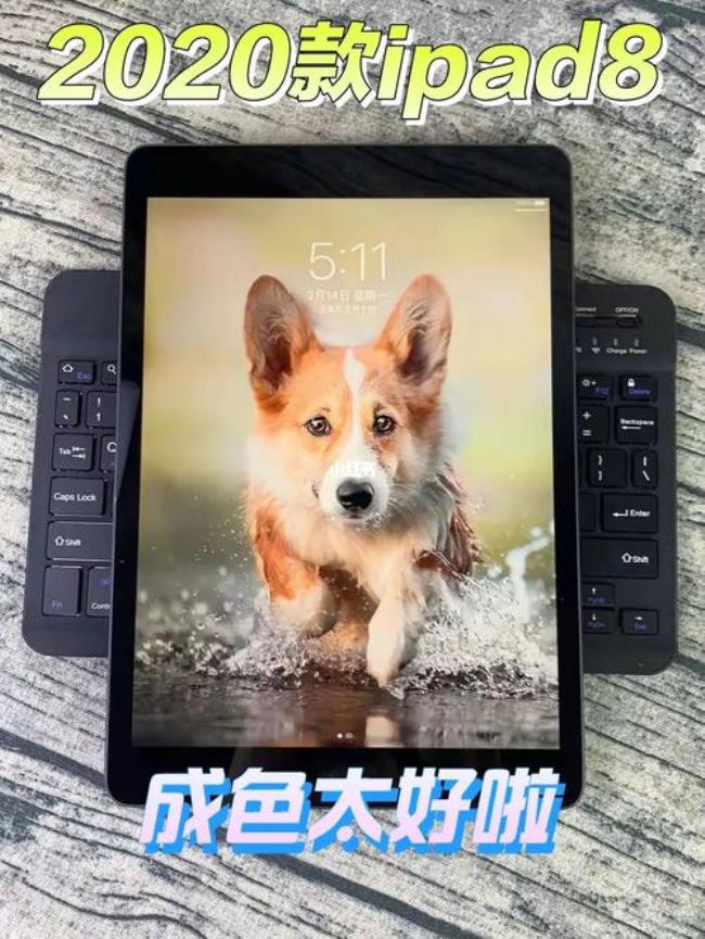 ipad8运存多大