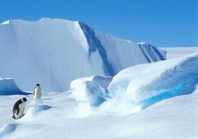 为什么北极比南极热