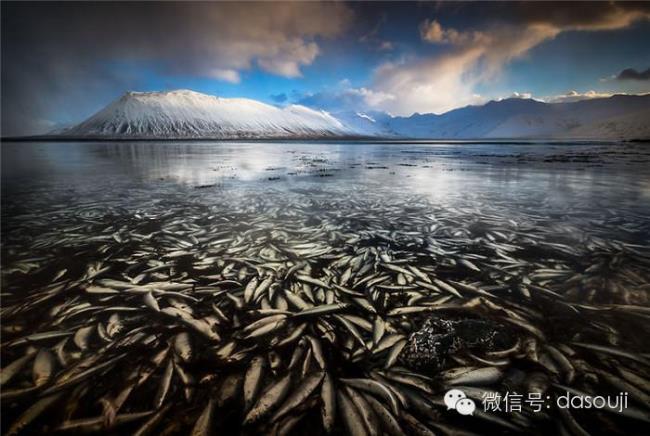 冰岛会被海水淹吗