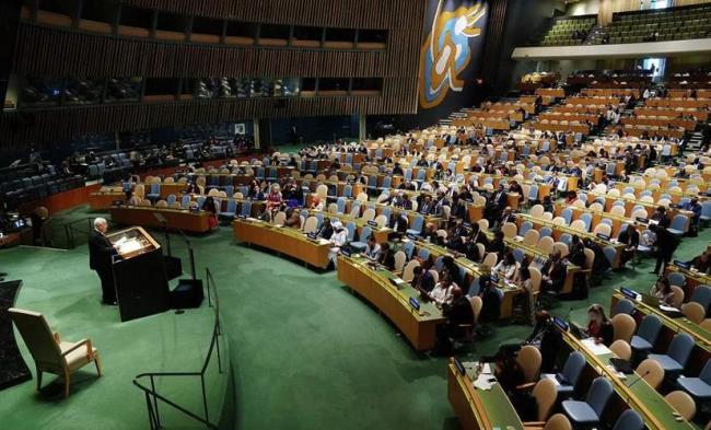 2013年被联合国设立为什么