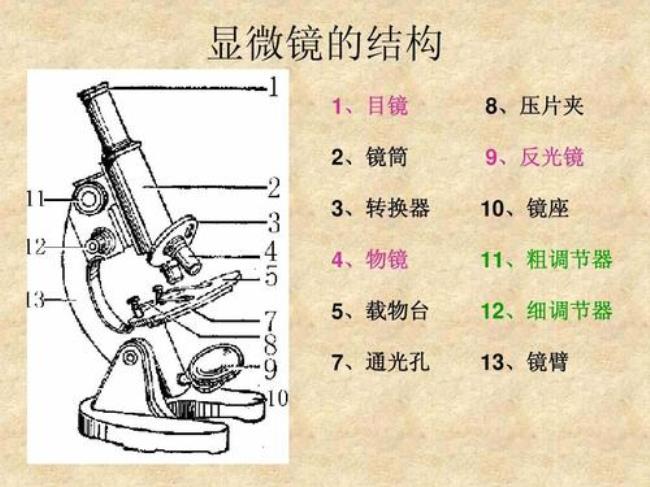 显微镜的结构图和原理