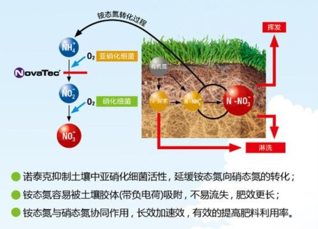 德国dmpp是个什么技术