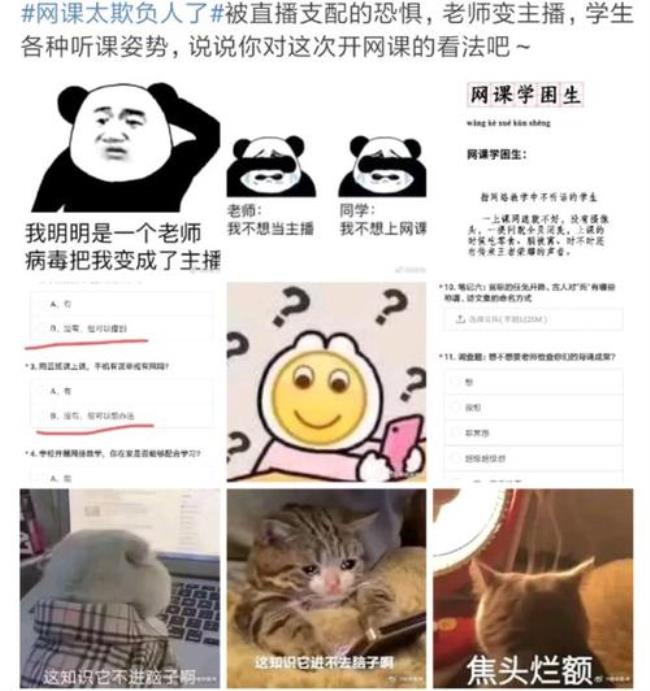 极画教育网课可靠吗